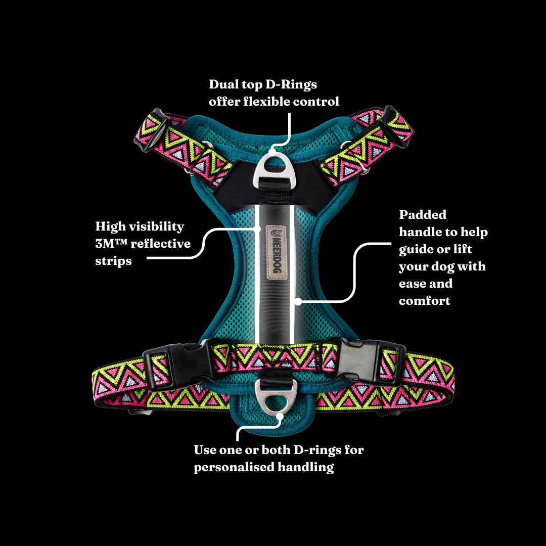 NEERDOG | Dog Harnesses | Dog Leads | Dog Collars | Coats – wholesale Pet harness – Dog – GO-B-BOLD Dog Harness | Breathable | Adjustable | Green2