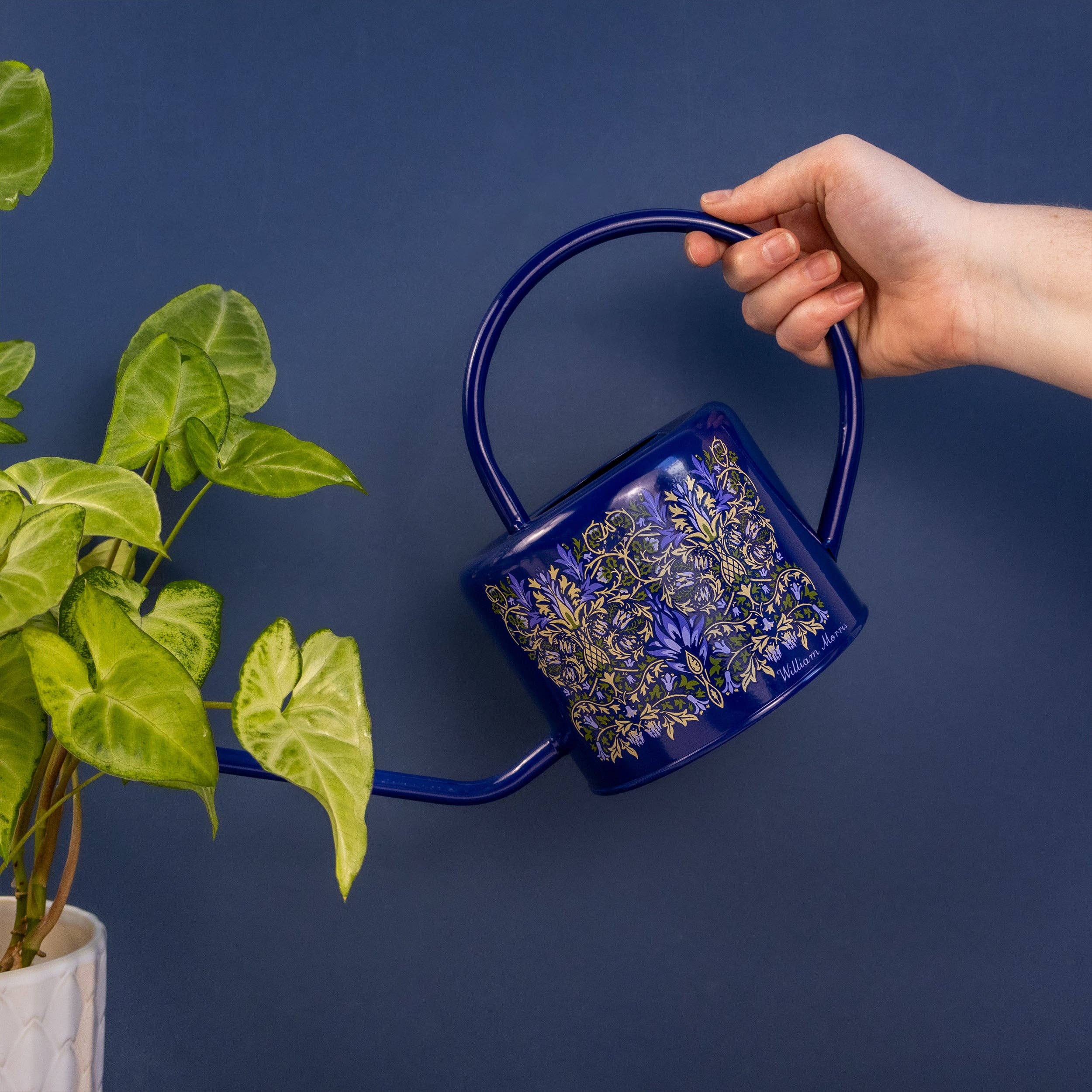 Robert Frederick Ltd – wholesale Watering can – Watering Can – William Morris Snakeshead Design2