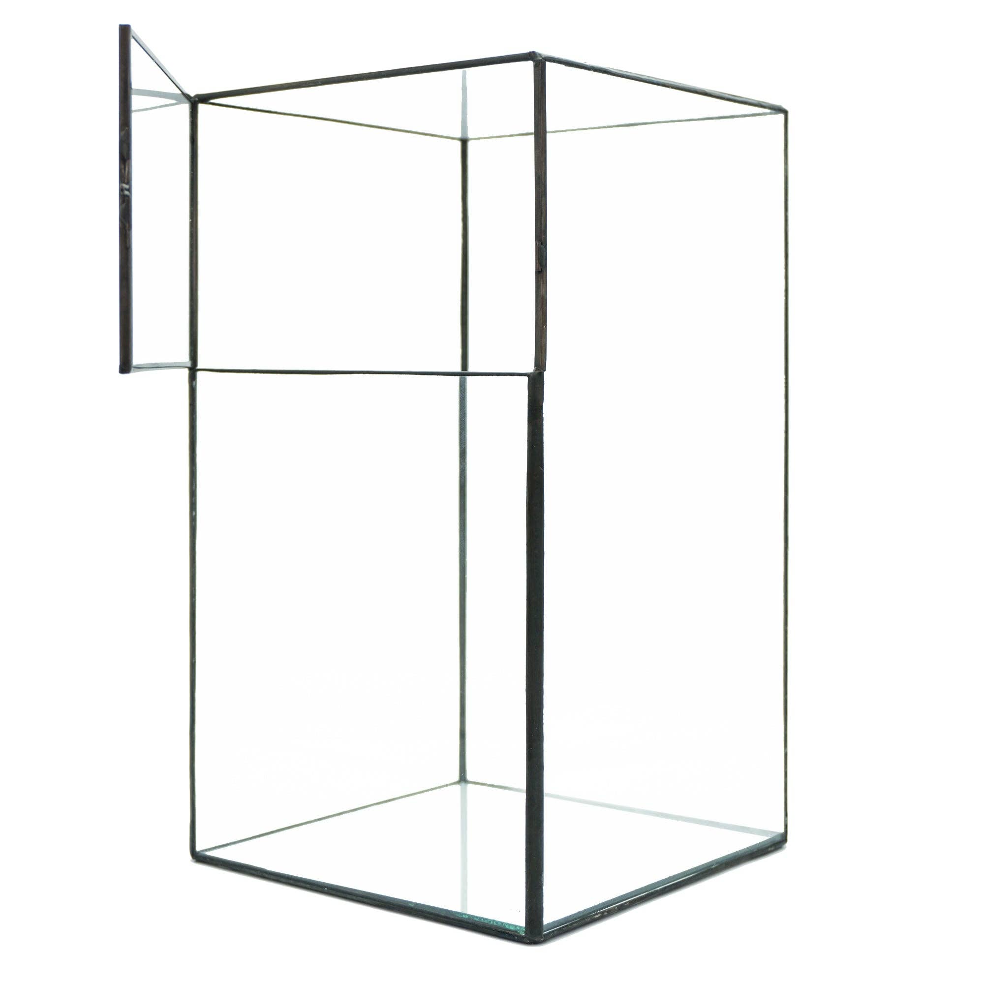 HIRO AQUATICS - Wholesale Terrarium - Indoor Plant/Little Forest Glass Vessel Container for Plants3