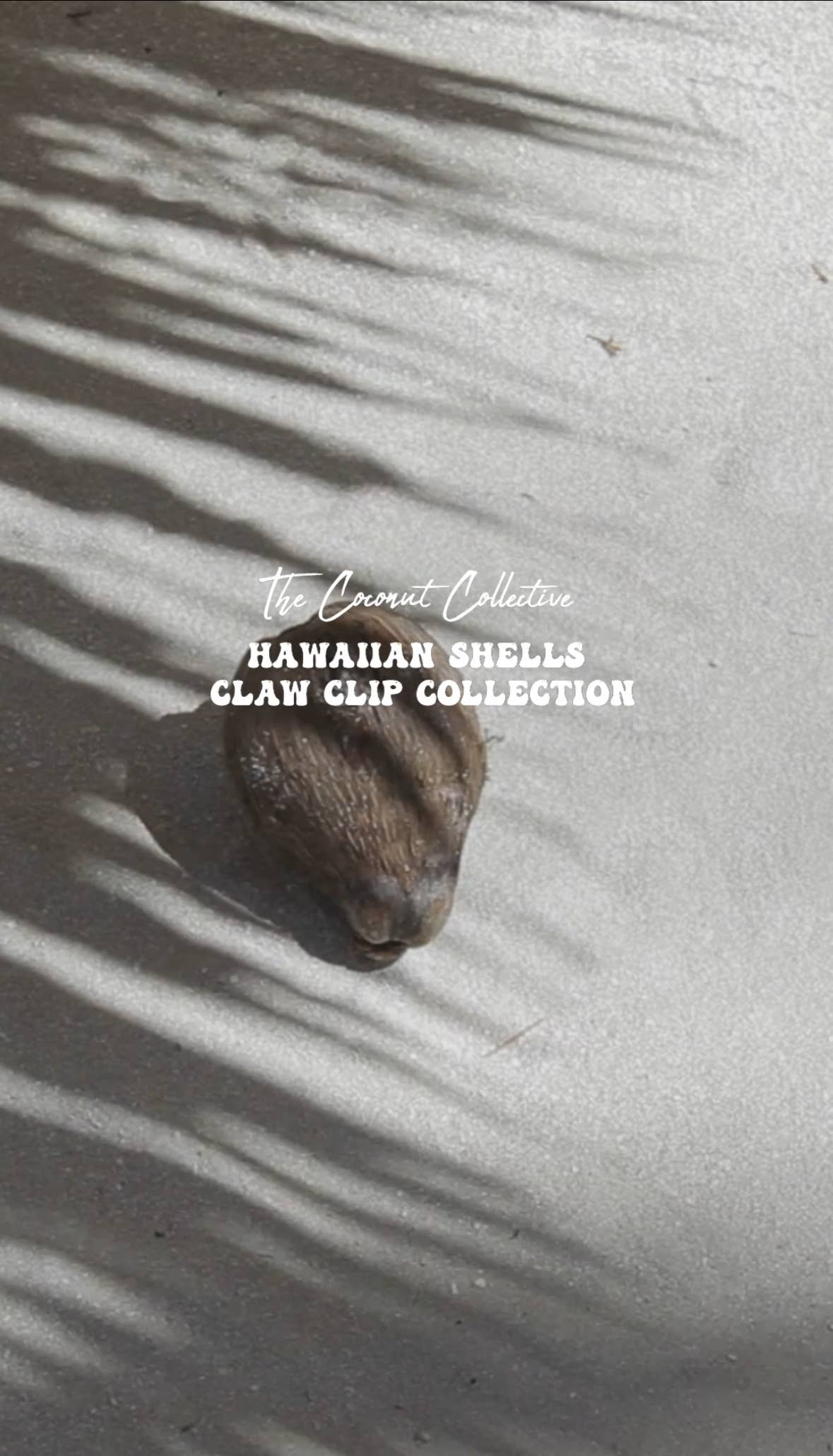 The Coconut Collective - Vendita all'ingrosso Fermaglio per capelli - Donna - Fermaglio a forma di cono ebraico4