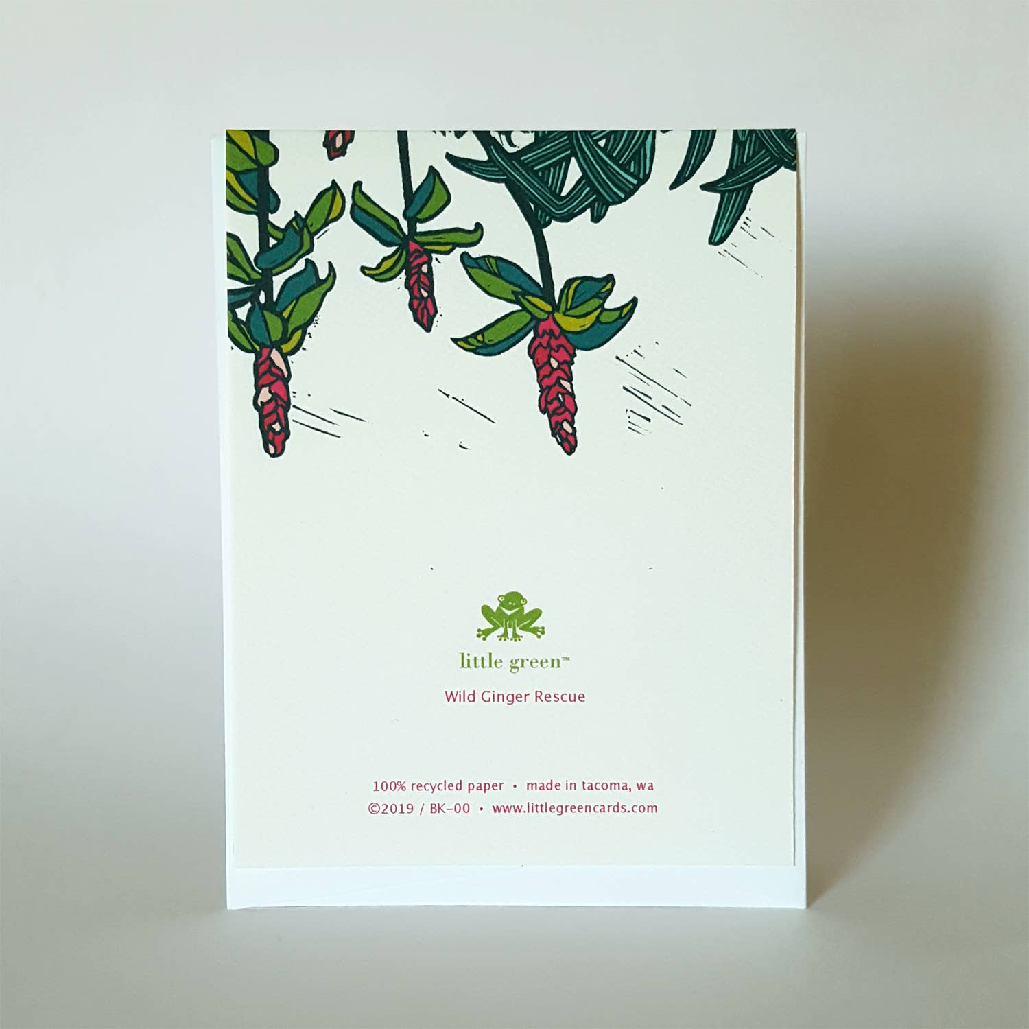 Little Green - Wholesale Stationery/Notecard Set - Assorted Tropical Blank Note Card Set of 8 / Fine Art Greeting Cards10