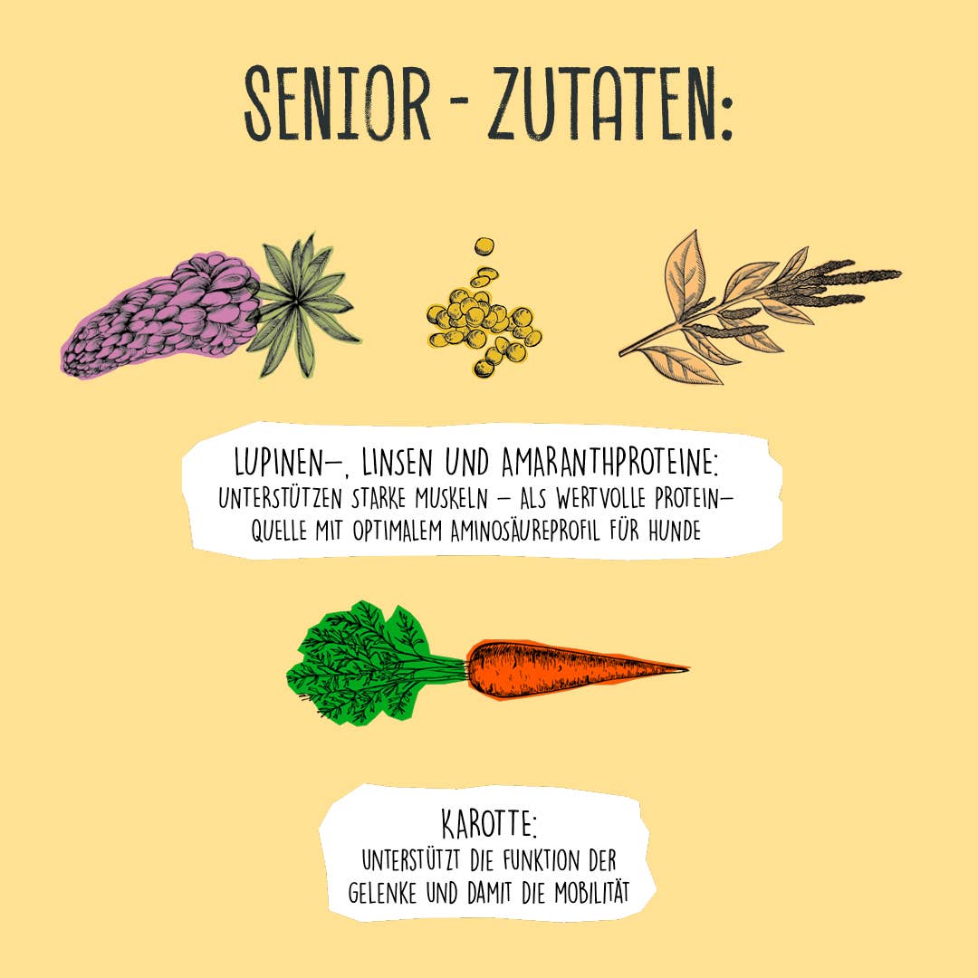 VEGDOG - Wholesale Pet Food - Dog - SENIOR Peas & Millet7