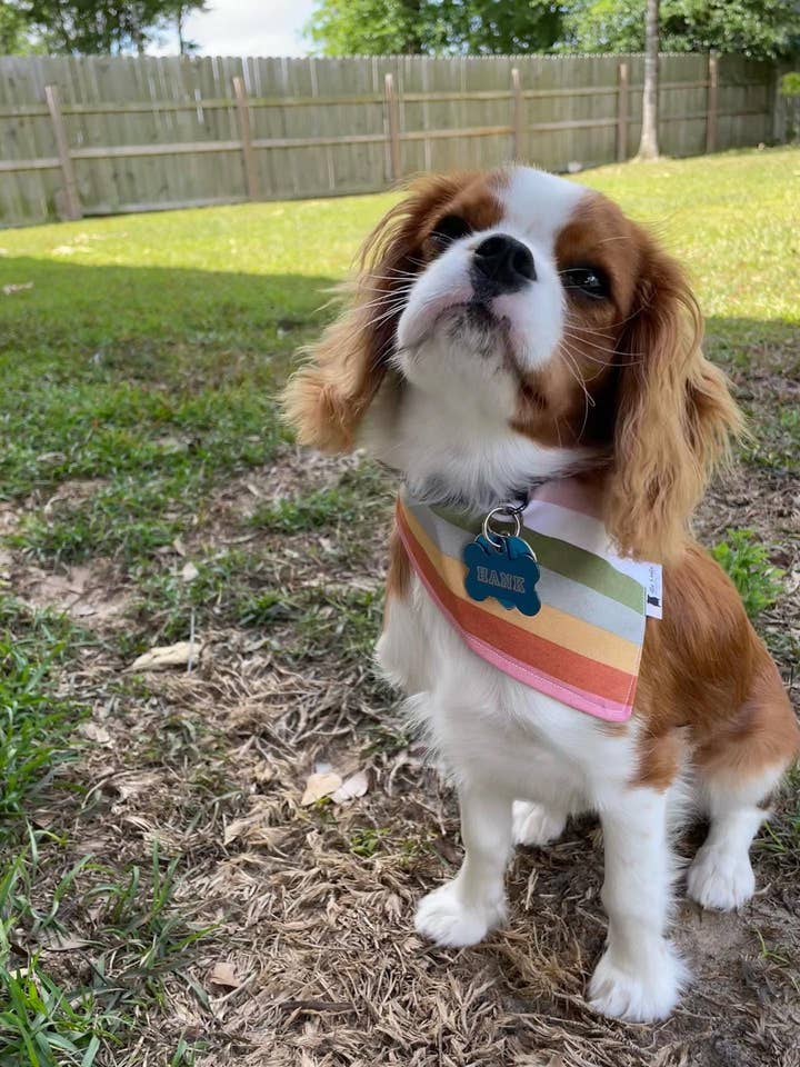 Retro Stripe Dog Bandana for wholesale by Ellie and Nala Design Co.