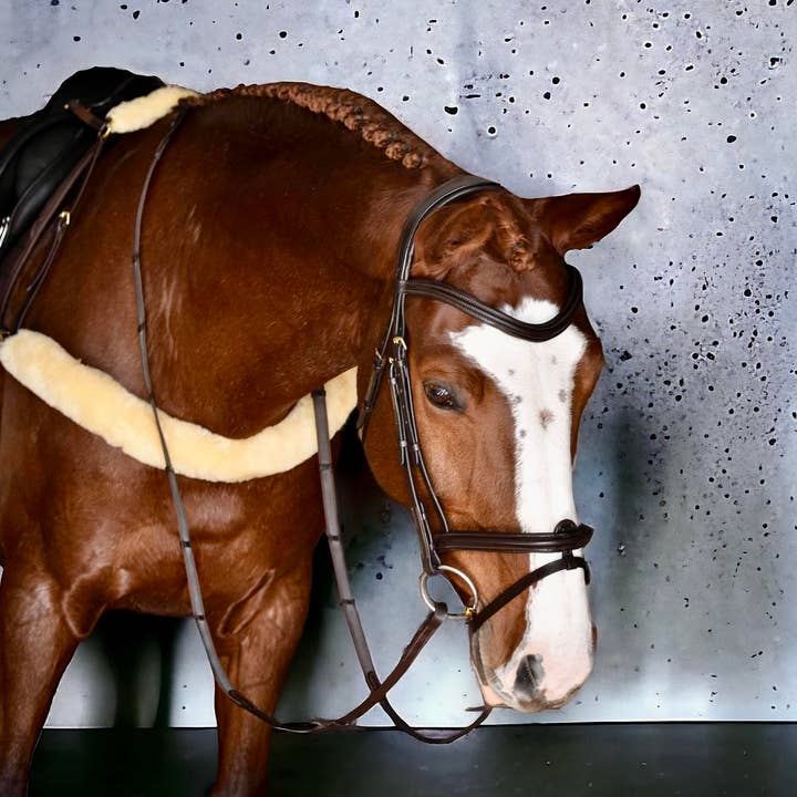 EPONIA EQUESTRIAN LIFESTYLE - Wholesale Horseback Riding Gear - Bridle Eponia - Slimfit jumper/Hunter