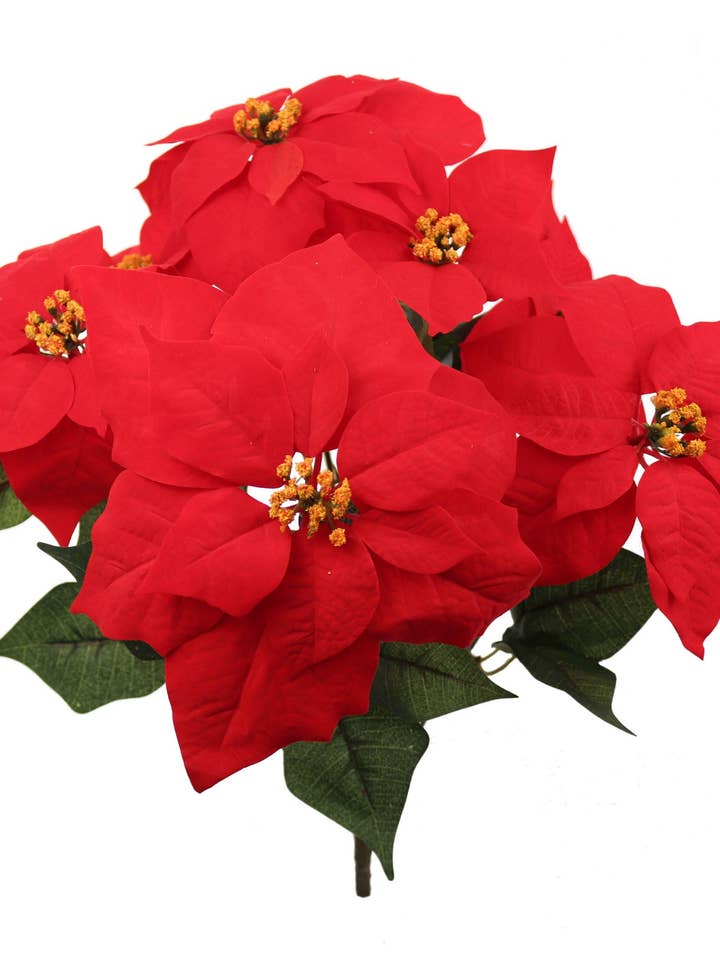 Röd sammet julstjärna buske, 7 sidenblommor, 20 tum, set om 2 för wholesale av Larksilk