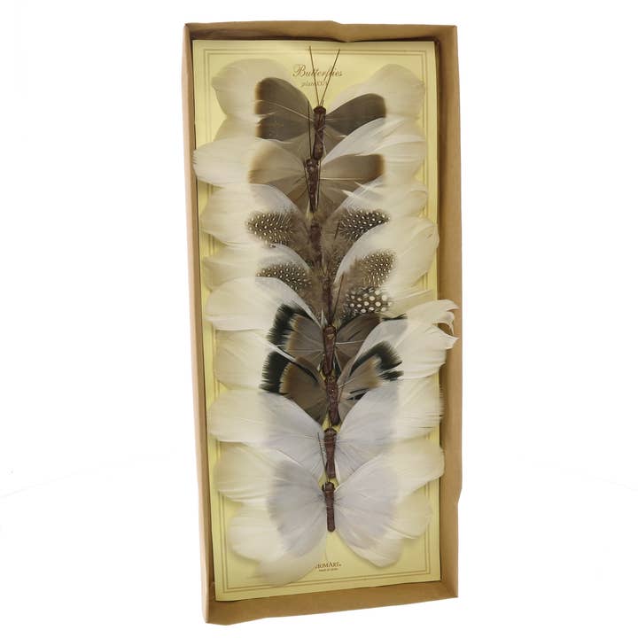 Natural Feather Butterflies on Clip, Box of 8- White & Brown for wholesale by HomArt