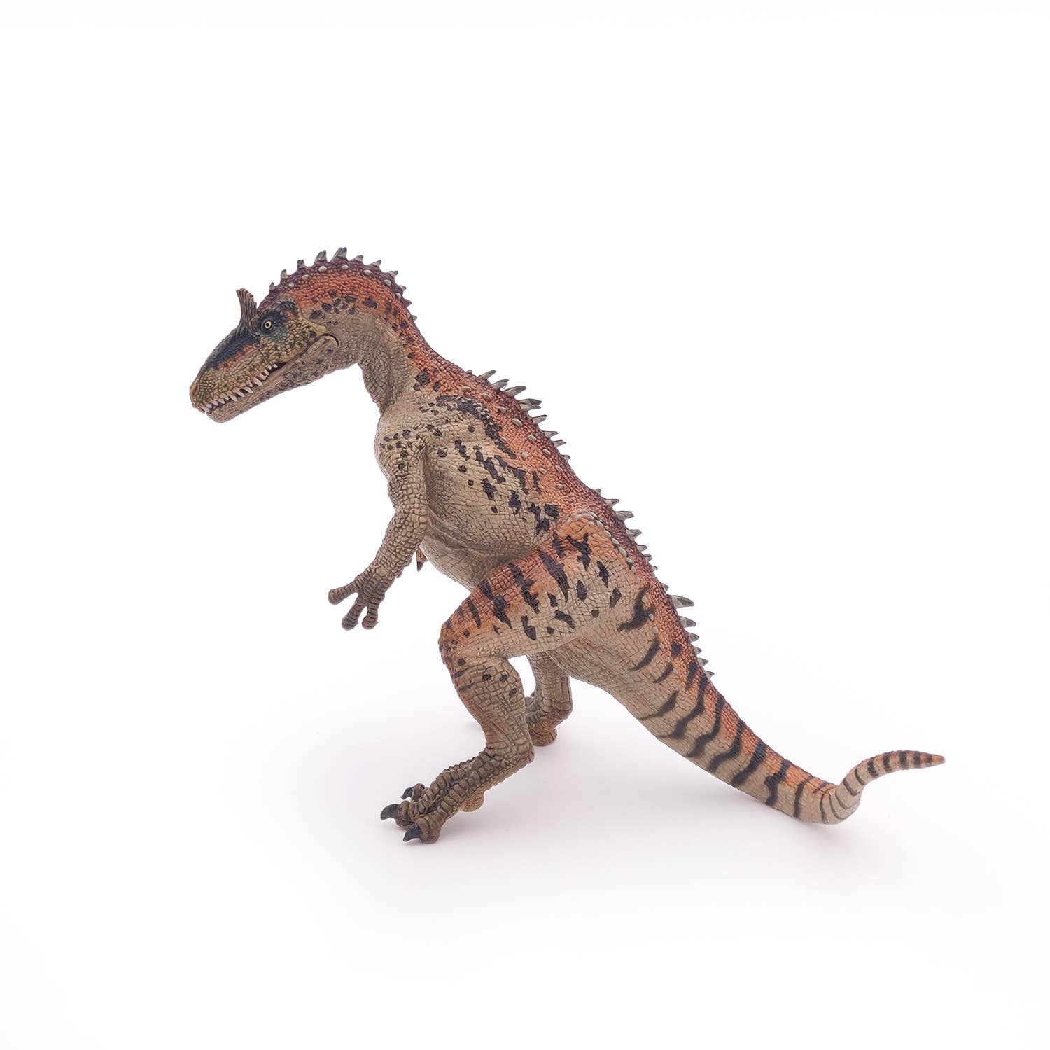 Papo - Wholesale Figurine Toy - Kids - Cryolophosaurus1