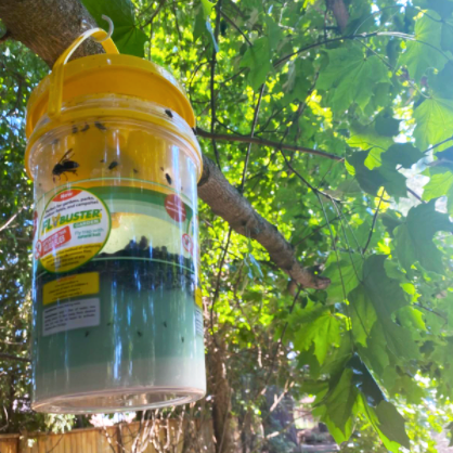 FlyBuster - Wholesale Insect Repellent - Flybuster Garden3