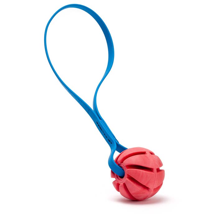 Dogline - Wholesale Pet Fetch Ball - Dog - Rubber Spiral Ball with Biothane Handle4