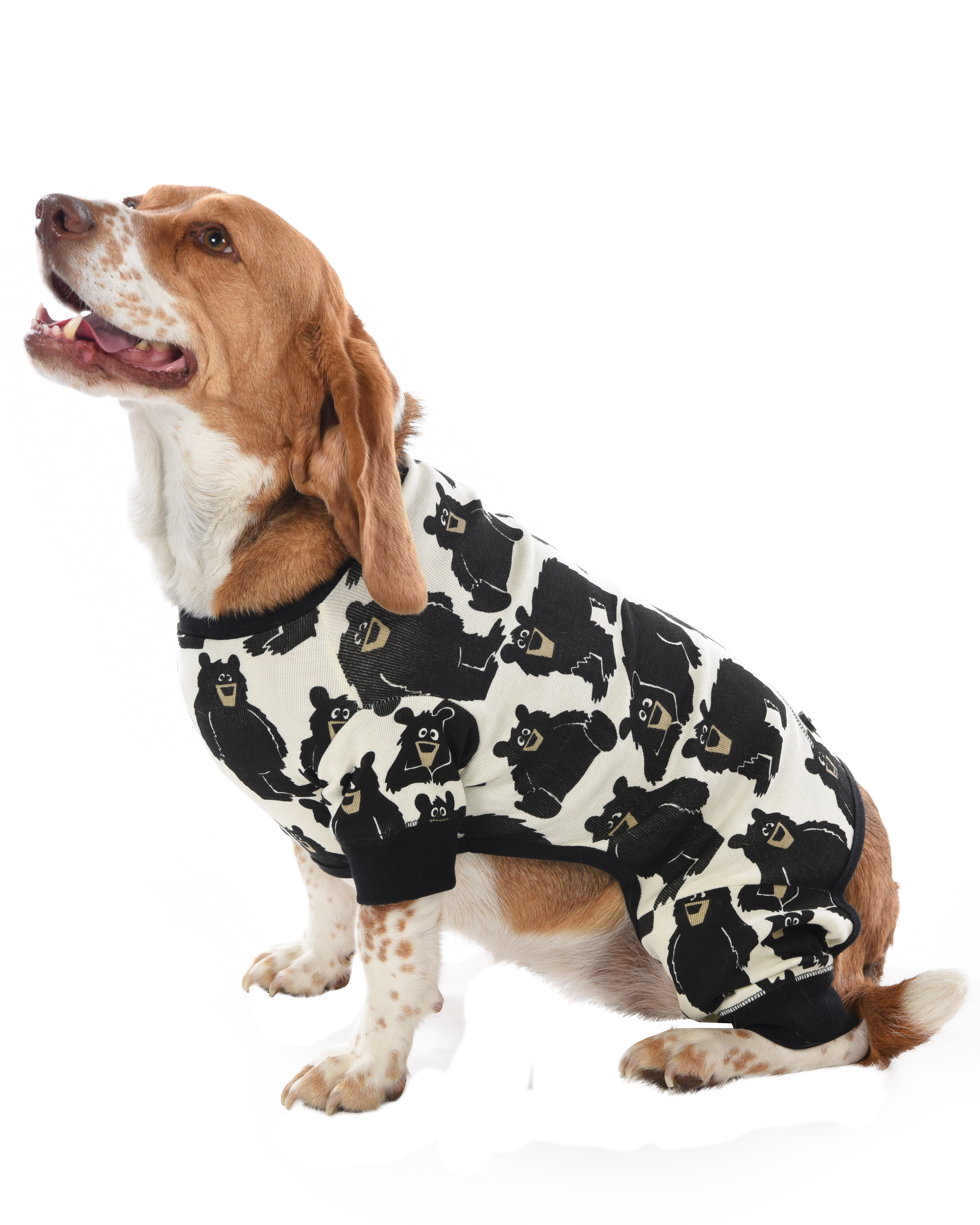 Lazy One - Vendita all'ingrosso Costume da carnevale - Cani - Famiglia Orso Cane Flapjack2