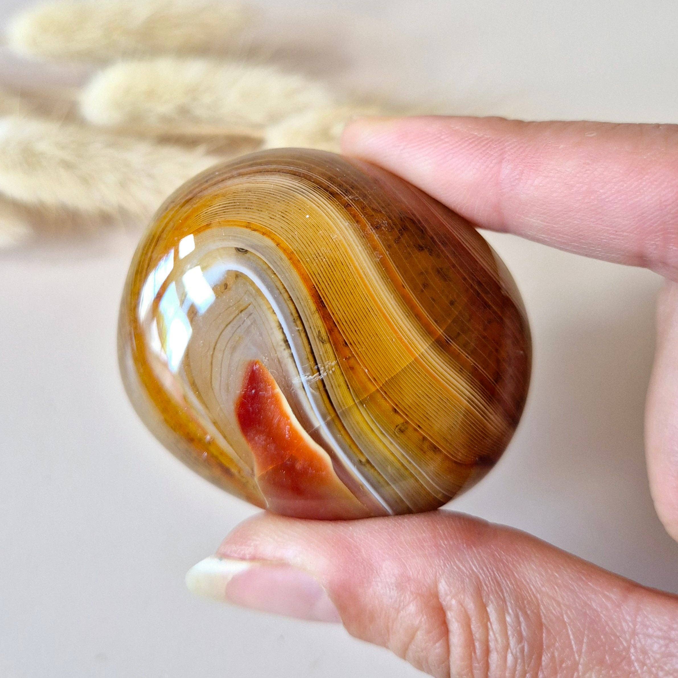 Moonlight Gemstones - Venta al por mayor Piedras/cristales espirituales - Sardónice Piedra de Palma – Poderosa piedra pulida para equilibrio y autoconfianza (5–10 cm)1