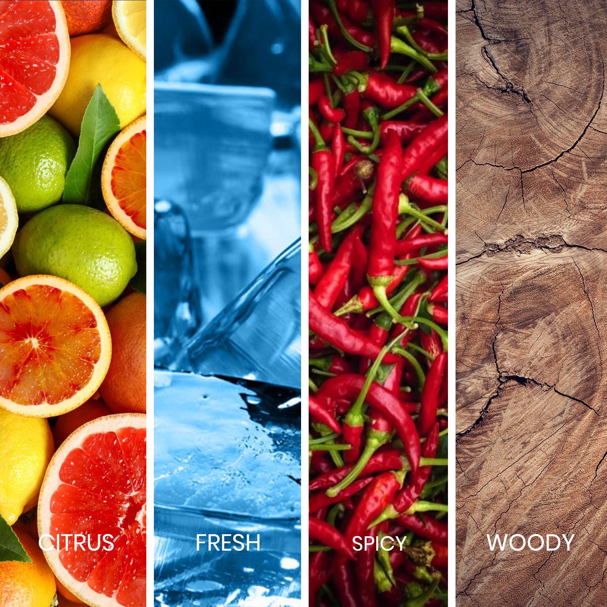 SWISS ARABIAN - Vendita all'ingrosso Profumi/Eau de toilette - Sapil Solid Eau de Toilette da uomo Profumo fresco agrumato 100ml2