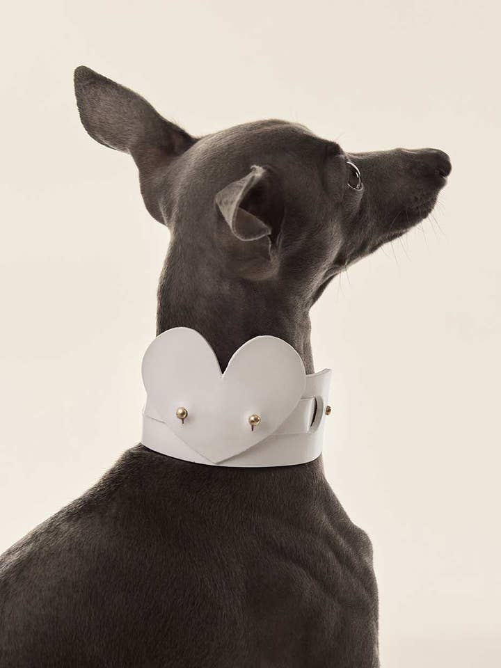 Dog heart · White for wholesale by INDÓMITO