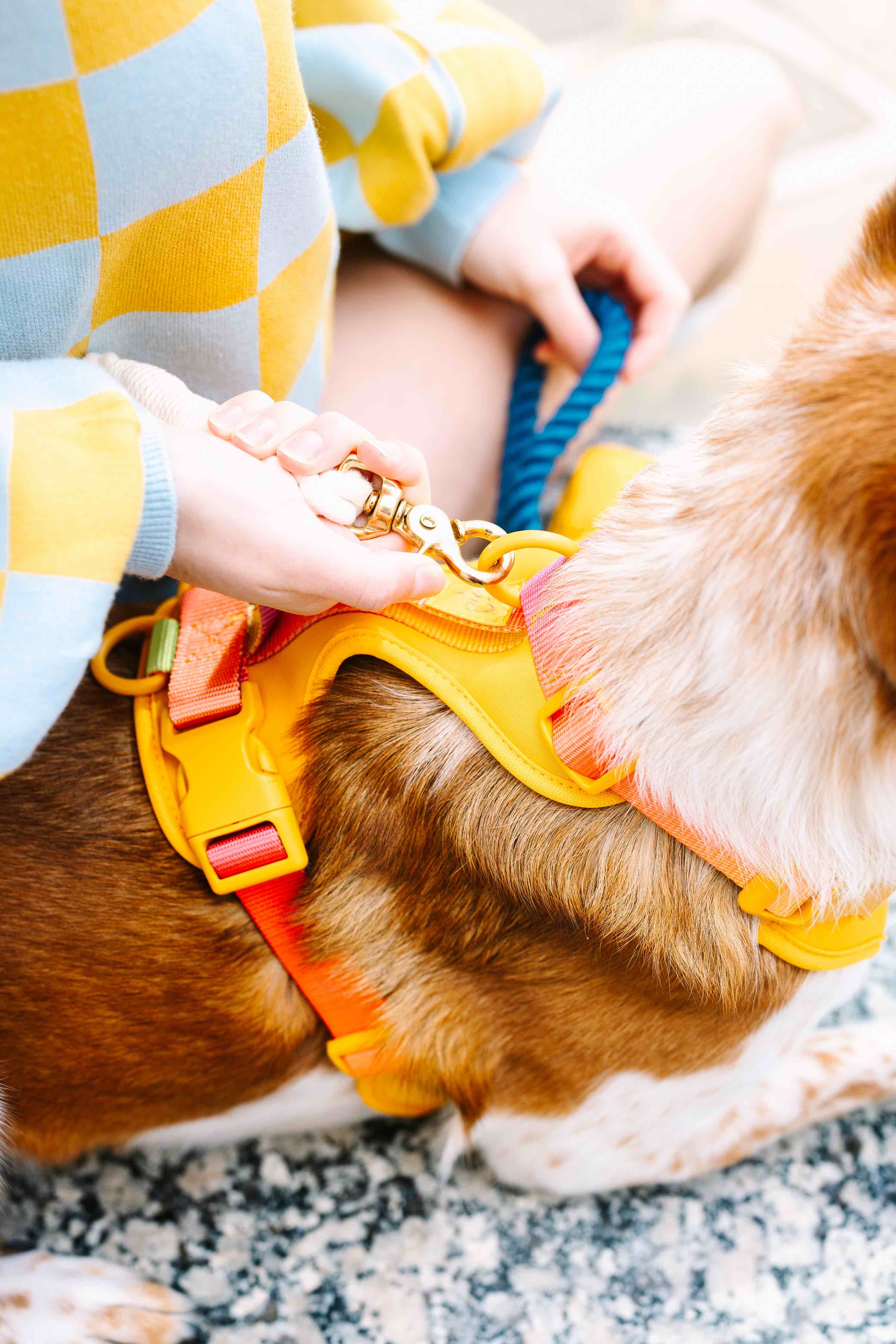 Pink Papyrus | Premium, Durable, & Stylish Dog Products - Wholesale Pet Harness - Dog - Kenna Dog Harness | Yellow Dog Harness | No Pull Dog Harness14