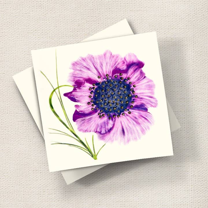 Mohn (Lila) für den Großhandel von English Graphics