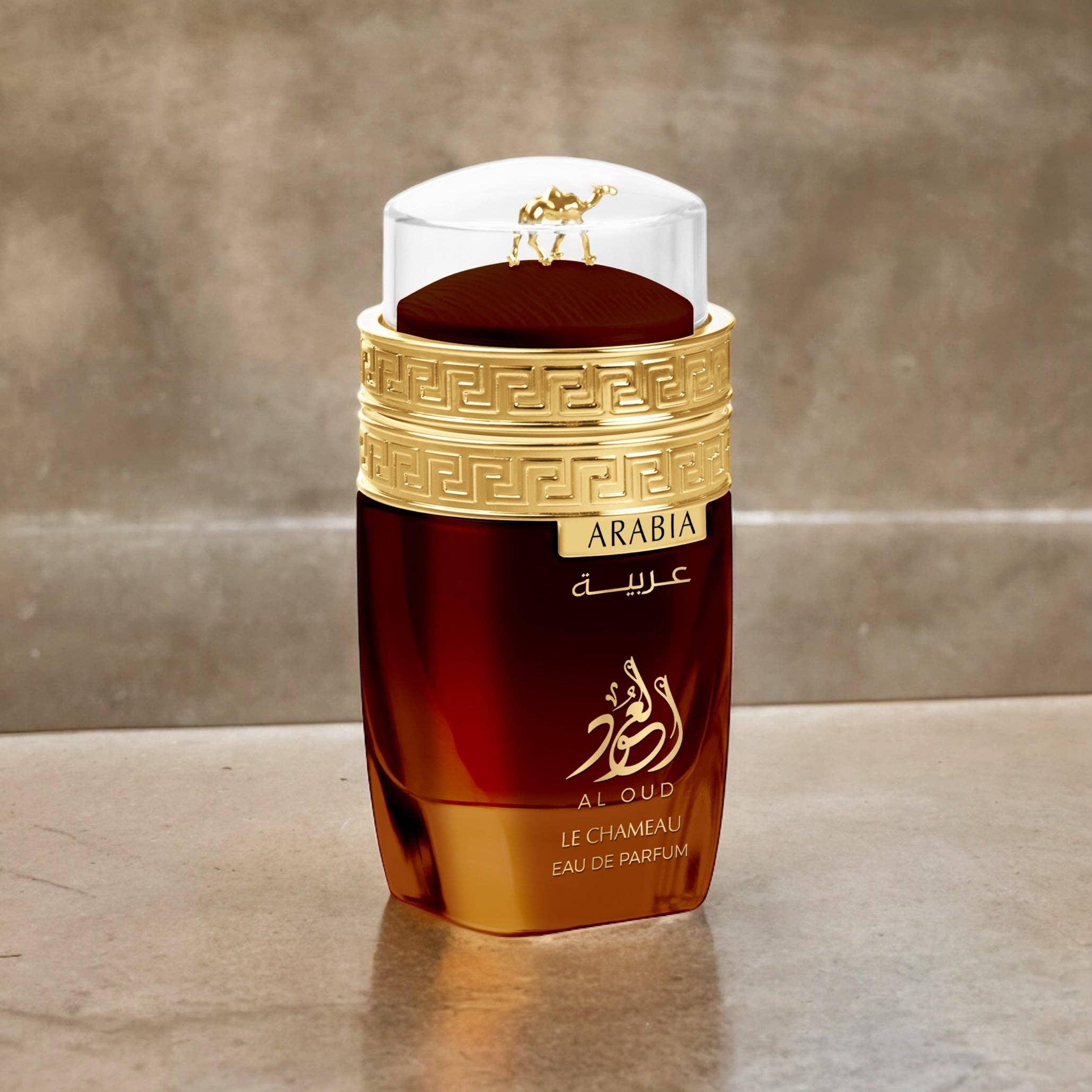FRAGRANCE WHOLESALE LTD - Wholesale Perfume/Eau de Toilette - Le Chameau Arabia Al Oud (Unisex)  100ML Eau De Parfum3