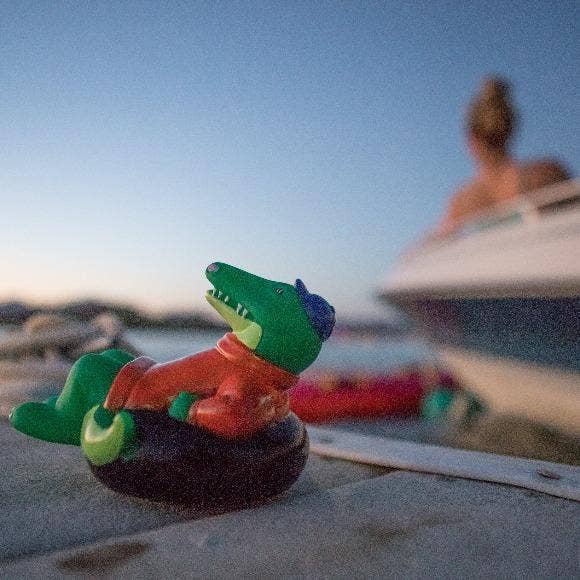 Rubber Tubbers - Wholesale Bath Toy - Baby - University of Florida - Gators - Albert The Alligator - Prem7