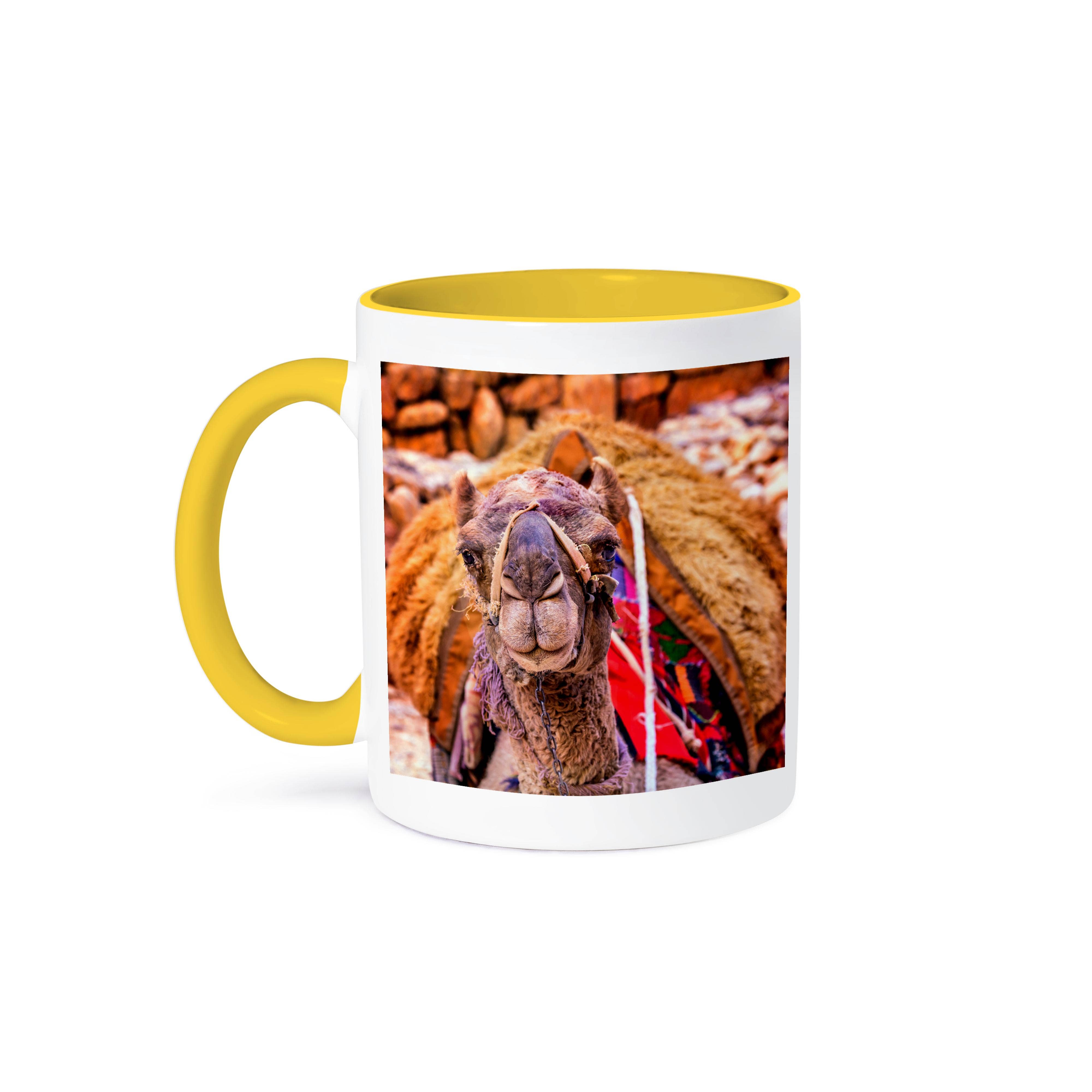 3dRose - Vente Tasse à café - 3dRose, Chameau se reposant à Pétra après avoir donné des balades aux touristes, Jordanie., Tasse0