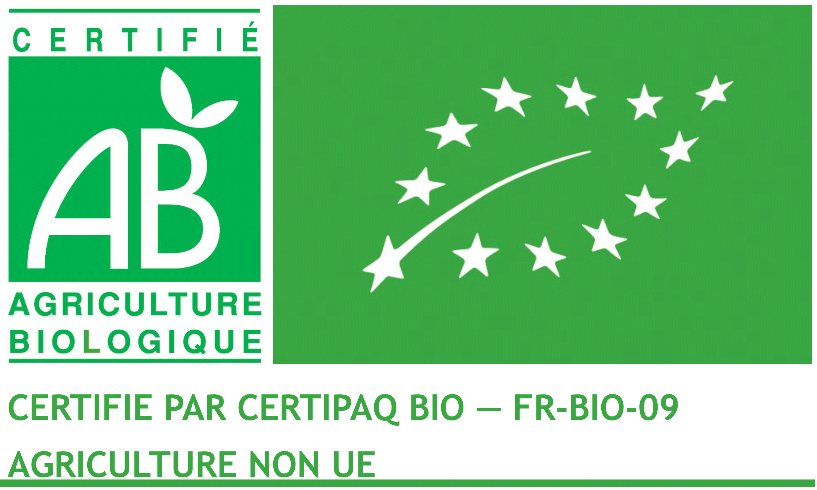 MONO BLANKO - Wholesale Flavored Syrup - Vanilla & Macadamia Nut Arranged Rum2