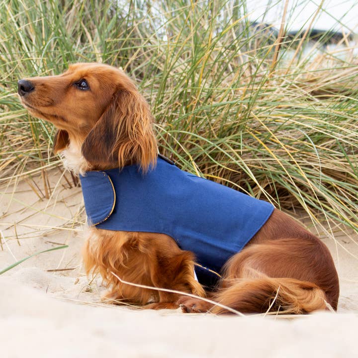 The Woofing Wardrobe – Arnês – Cão por atacado – Peitoral para Cães Reversível em Algodão Orgânico - The Amersham1