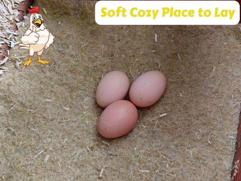 My Favorite Chicken - Wholesale Pet Bed - Cat/Dog - Hemp Fiber Laying Hen Nest Pads, Poultry Nesting Box Liners3