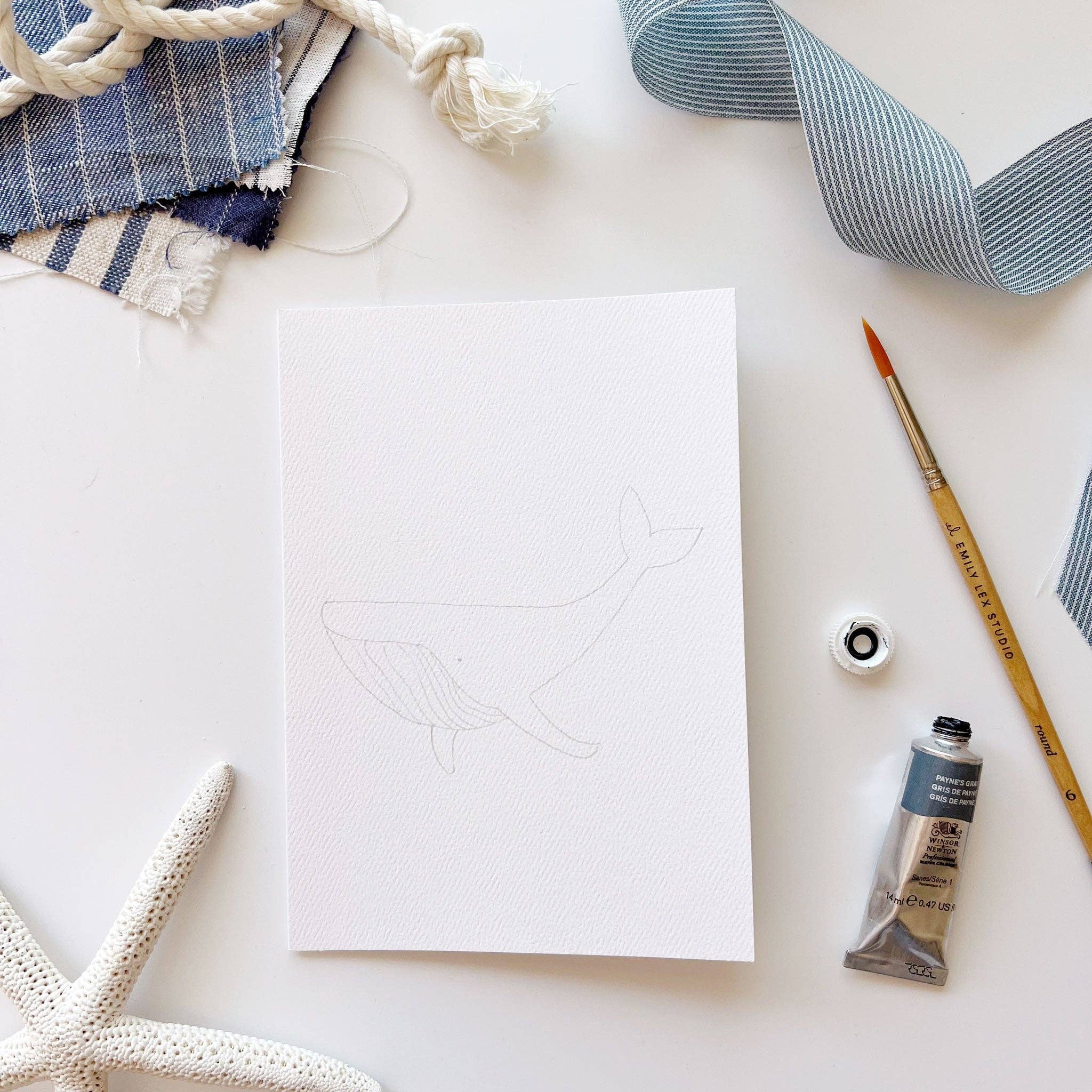 emily lex studio – wholesale Stationery/notecard set – seaside paintable watercolor notecard set8