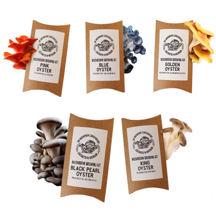 The Mushroom Conservatory LLC – Kit de comida DIY por atacado – Pacote de Variedades de 12 Incríveis Kits de Cultivo de Cogumelos!