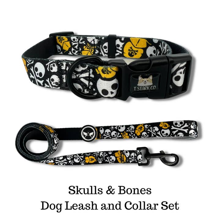 Skulls and Stripes: Vibrant Dog Leash & Collar Set for wholesale by T Stark Co