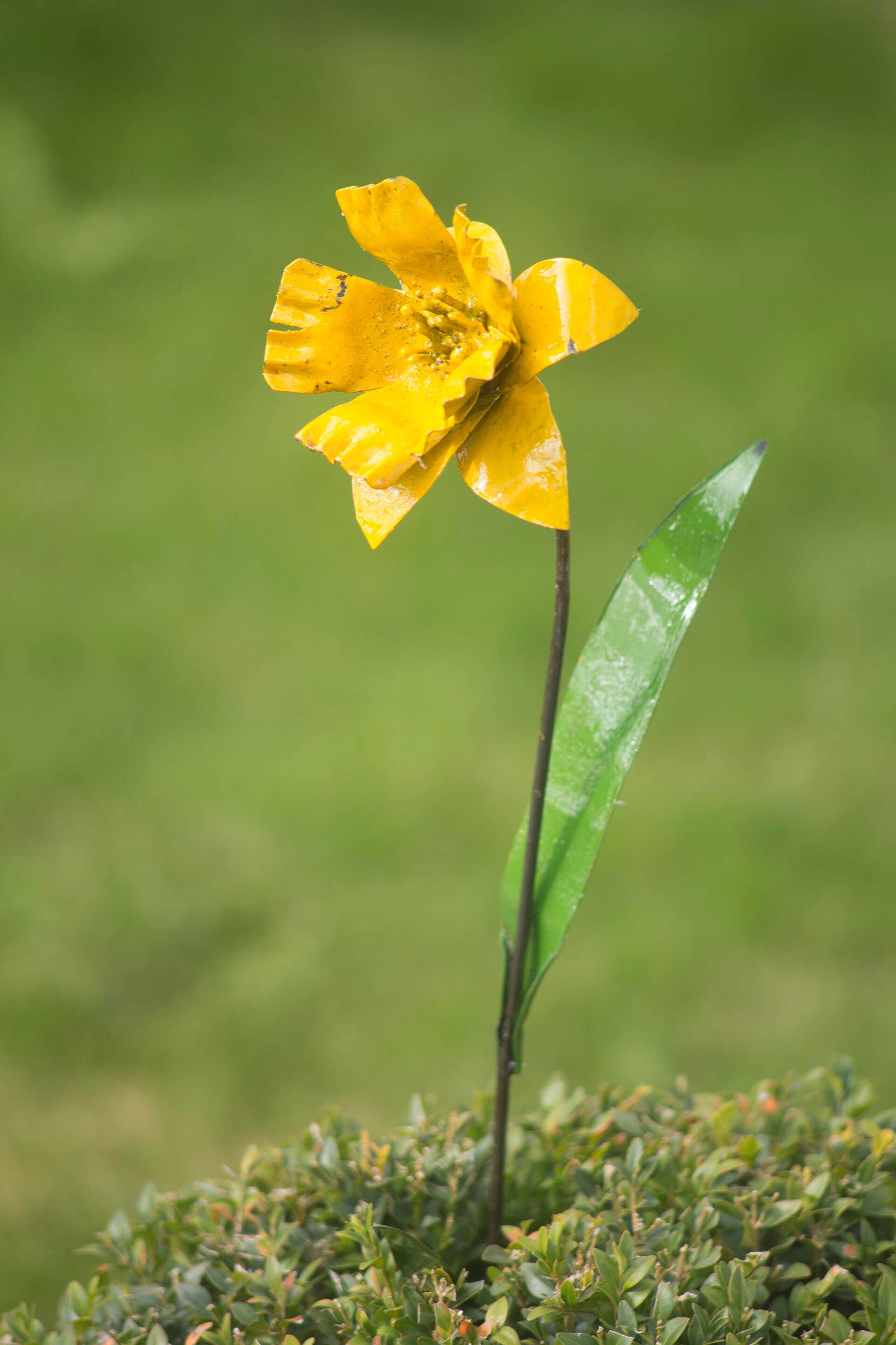 chi-africa – wholesale Outdoor ornament/decor – Recycled Metal Garden Artwork - Daffodil0