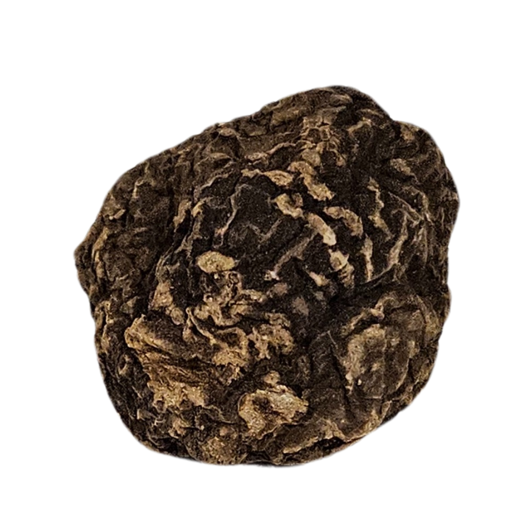 Botanica Luz Del Dia Inc - Wholesale Meditation Supplies - John The Conqueror Root / Raiz De Juan El Conquistador4