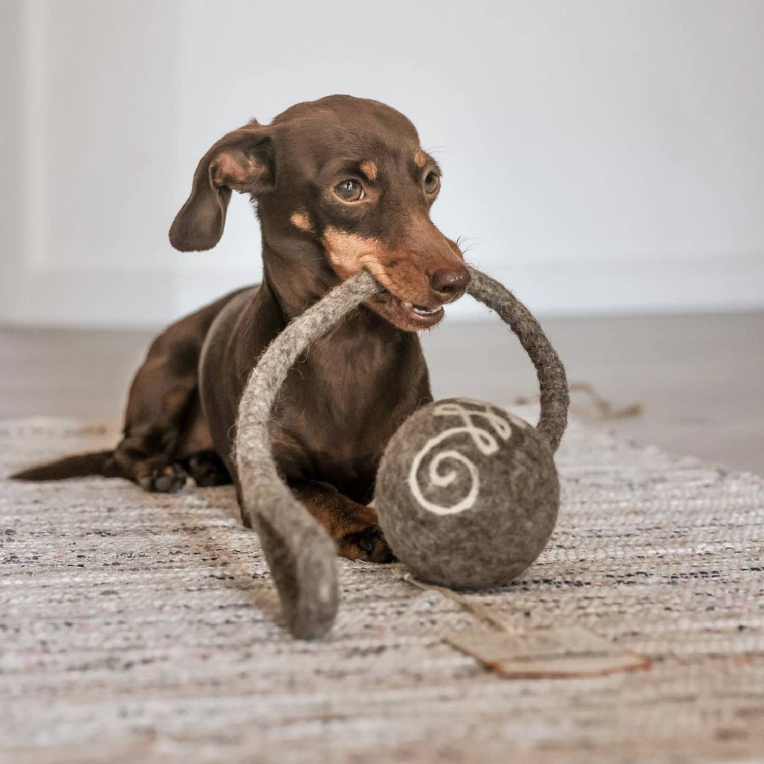 Wooliie - Wholesale Pet Toy - Cat/Dog - Unalome Rope Ball - Handmade All-Natural Wool Dog Toy5