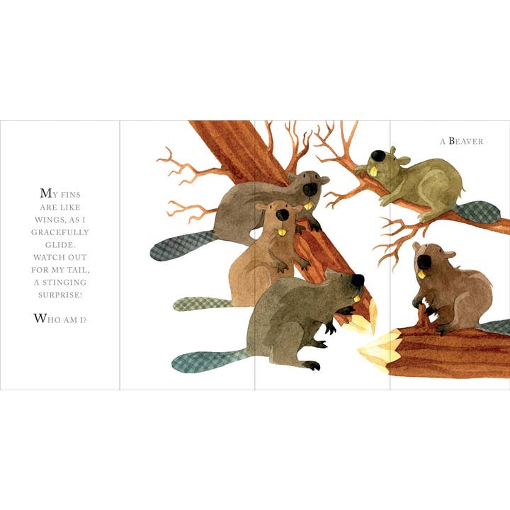 Peter Pauper Press - Wholesale Preschool Book (3-5) - Whose Tail?3