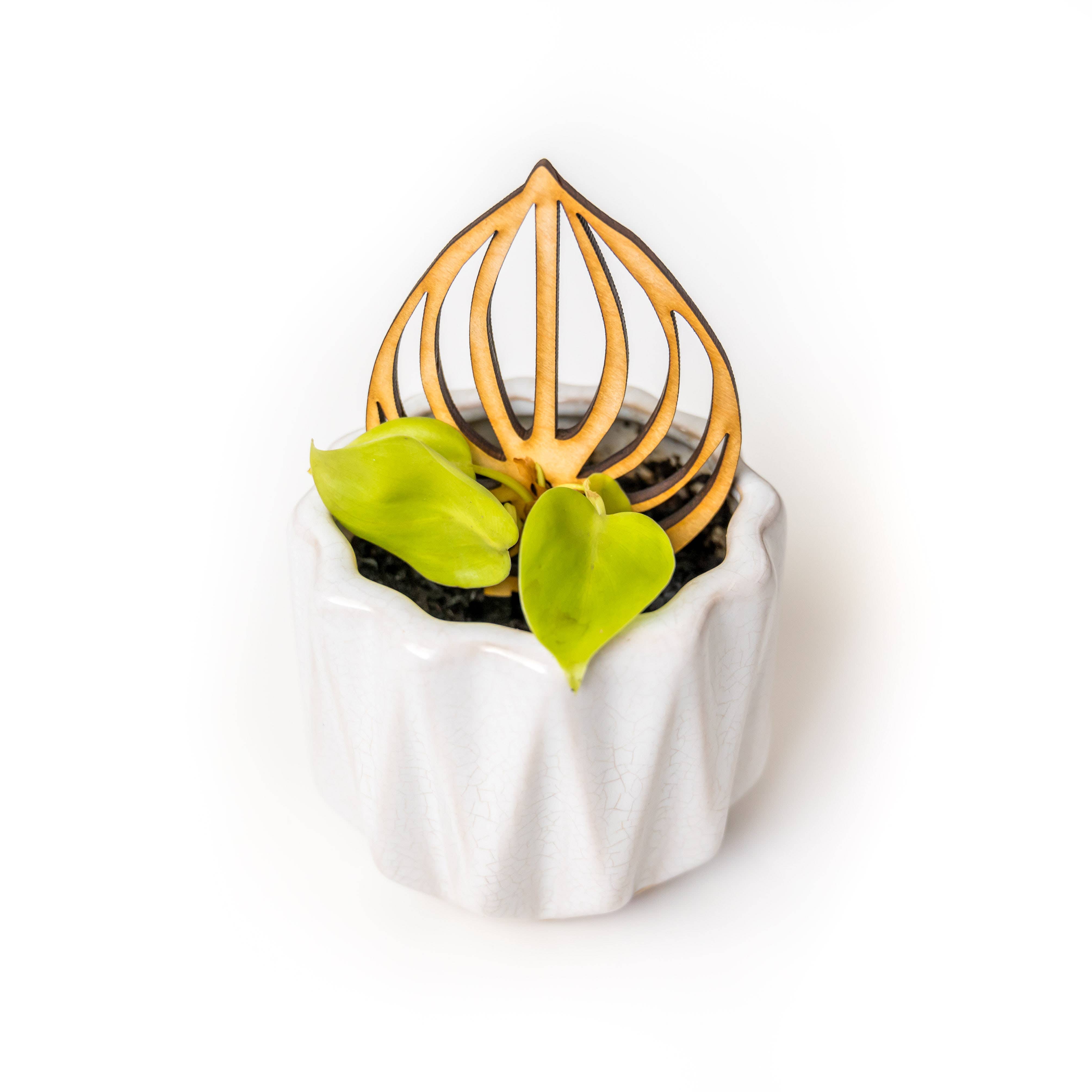 Treleaf – wholesale Garden/lawn stake – BARE Mini Trellises - Decorative wooden plant stakes7