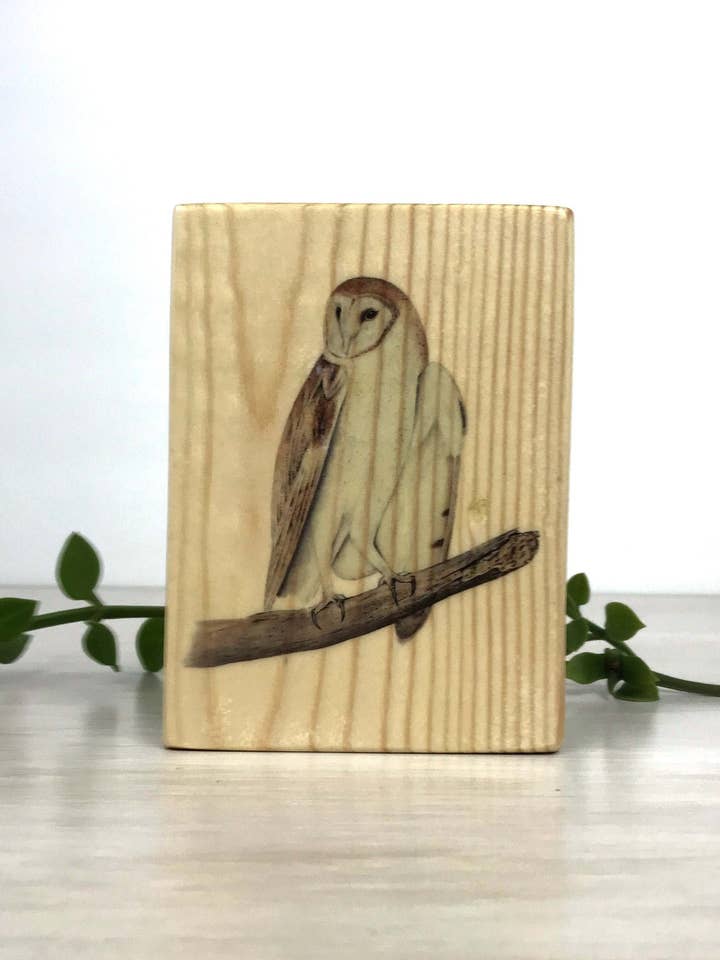Painel Madeira da Coruja do Barn, Impressão de Coruja do Barn Sobre Madeira por atacado de Streetlightbirds