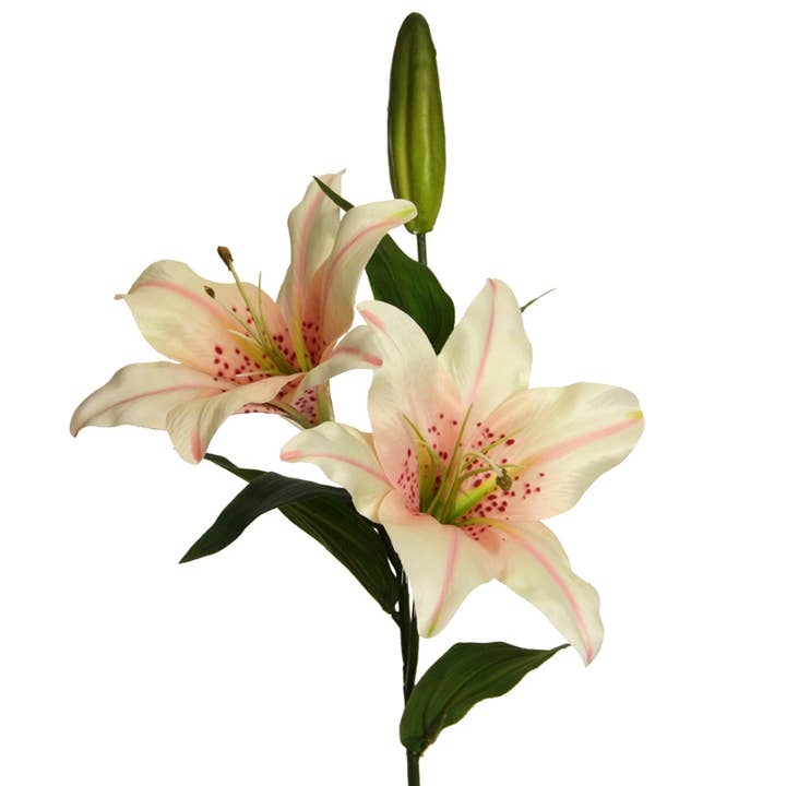 Lily x 2, 66 cm pink for wholesale by Floratexx