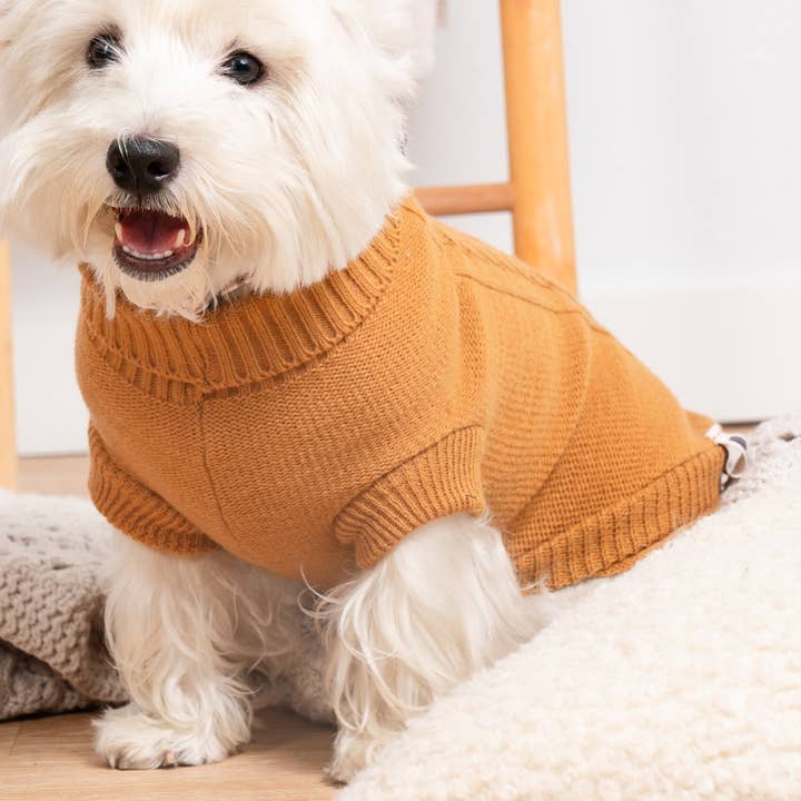 Jersey Toffee for wholesale by Nuk Pets