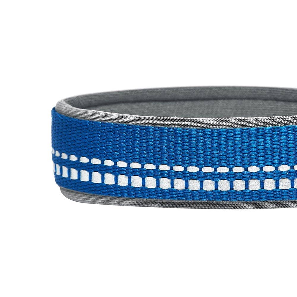 Blueberry Pet - Vente Collier – chien - Collier de sécurité rembourré en néoprène souple réfléchissant 3M21