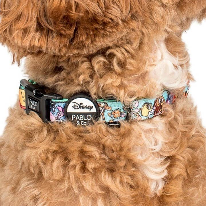 Winnie the Pooh & Forest Friends: Dog Collar for wholesale by Pablo & Co. Boutique