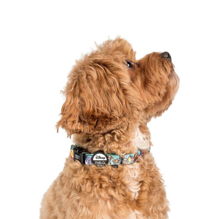 Pablo & Co. Boutique - Wholesale Pet Collar - Dog - Winnie the Pooh & Forest Friends: Dog Collar