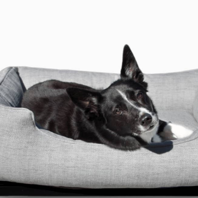 The FÜZI Dog Bed for wholesale by FÜZI