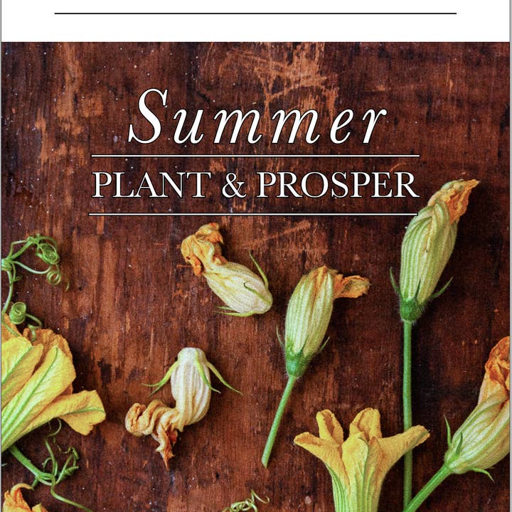 Honest Magazine - Wholesale Magazine - Summer, Plant & Prosper