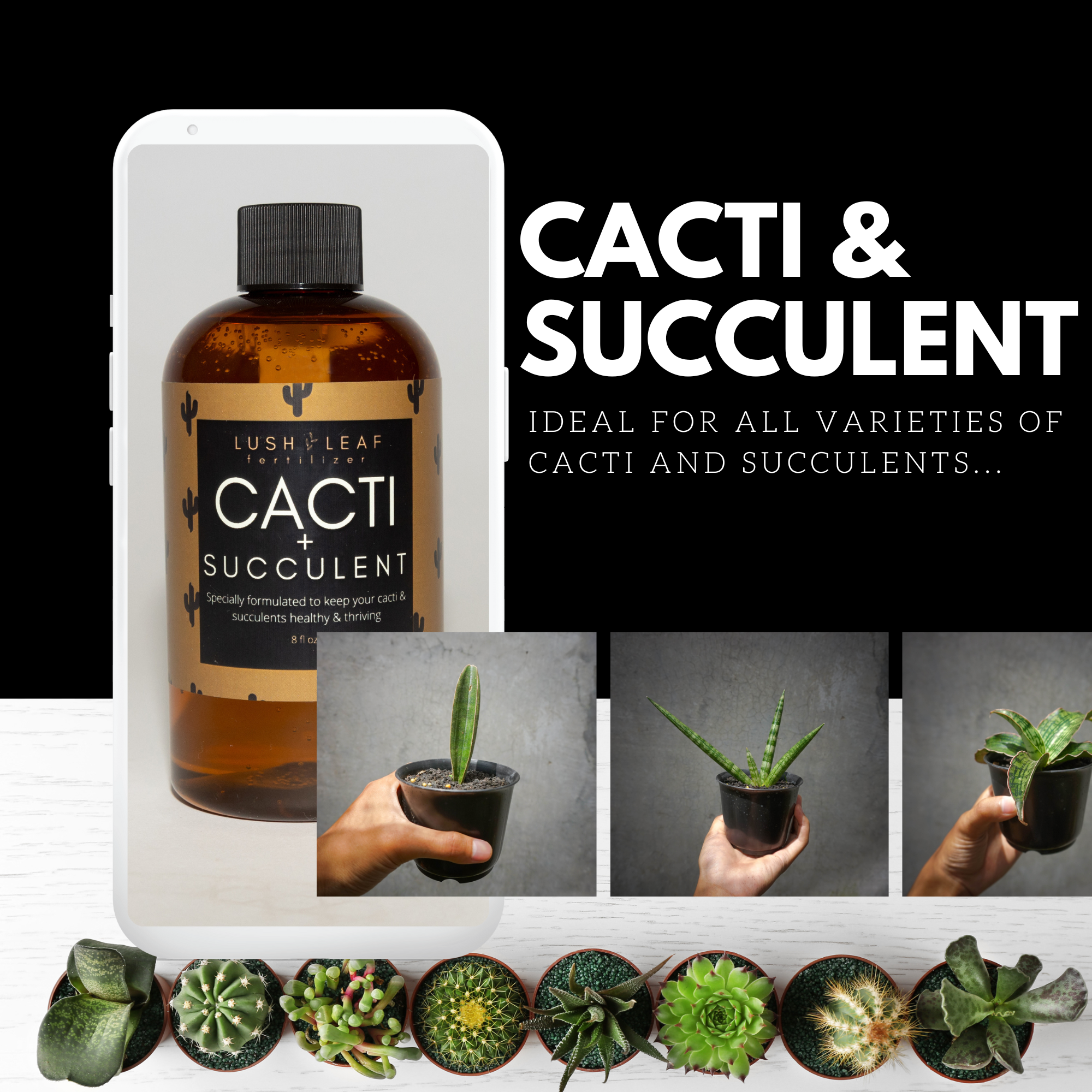 Lush Leaf - Wholesale Fertilizer - Cacti & Succulent Plant Food5