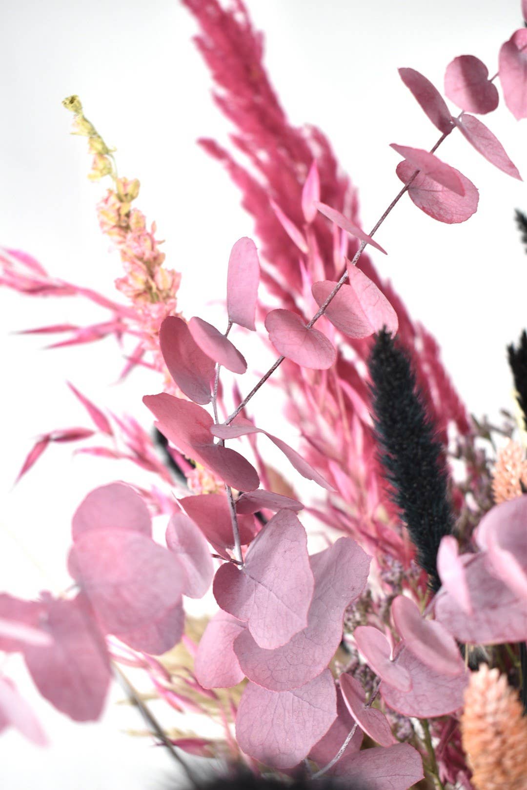 Dutch Flower Studio - Wholesale Dried/Pressed Flowers - Dried flower bouquet - Autumn vibes - 70 cm1