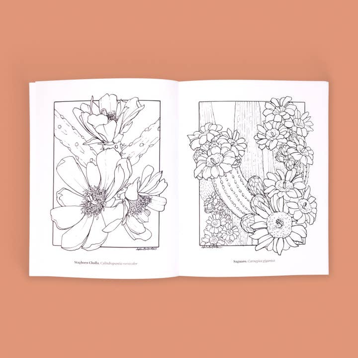 Cacti Oasis© - Wholesale Coloring & Activity Book - Adult - The Cacti Oasis© Coloring Book: Cacti & Succulents7