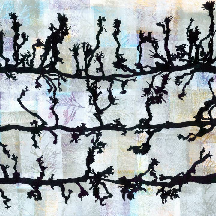 Biglietto d'auguri Lime Walk Winter Sissinghurst, Louise.. per la vendita all'ingrosso da parte di Louise Pettifer