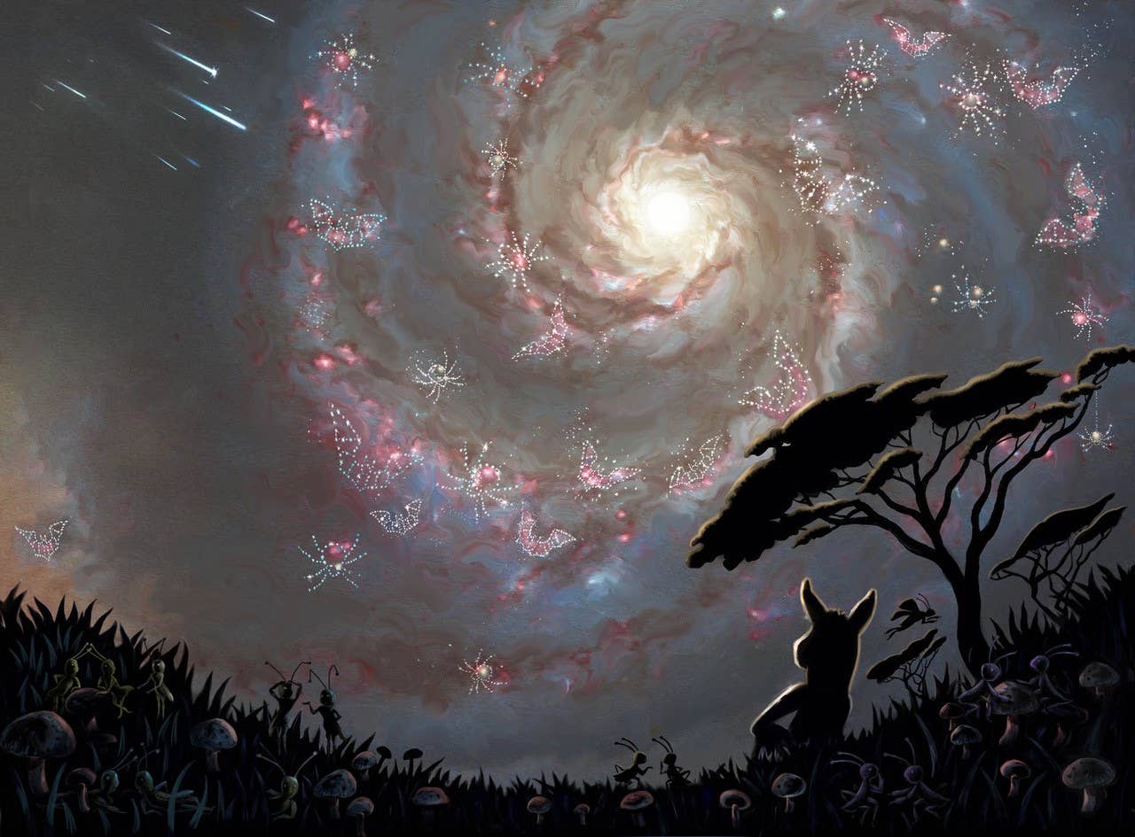 Wise As Stories - Wholesale Preschool Book (3-5) - Hardcover Book 1 : Willow the Wonderer4