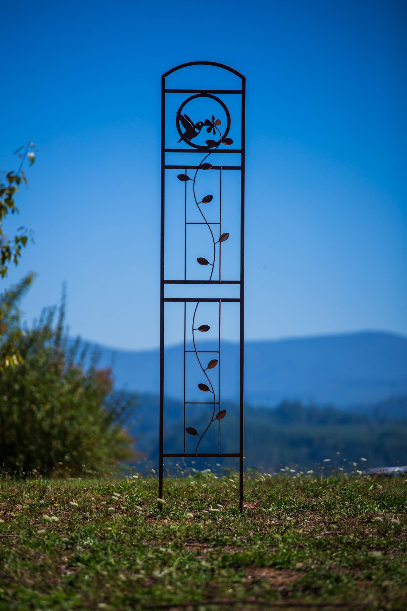 Elegant Garden Design – Engroshandel Udendørs pynt/dekoration – Kolibri Trellis1