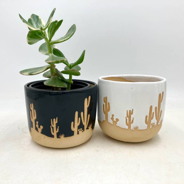 Small Cactus. Handmade, Wonky Ceramic Plant Pot/Planter for wholesale by Ruby Farms Pottery