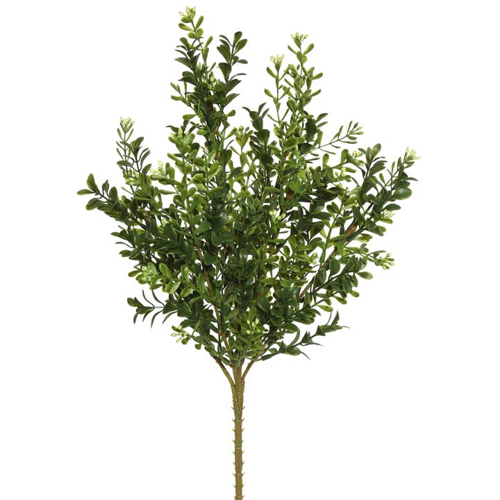 Vickerman 18" Artificial Green Boxwood Bush, Pack of 3 for wholesale by Vickerman