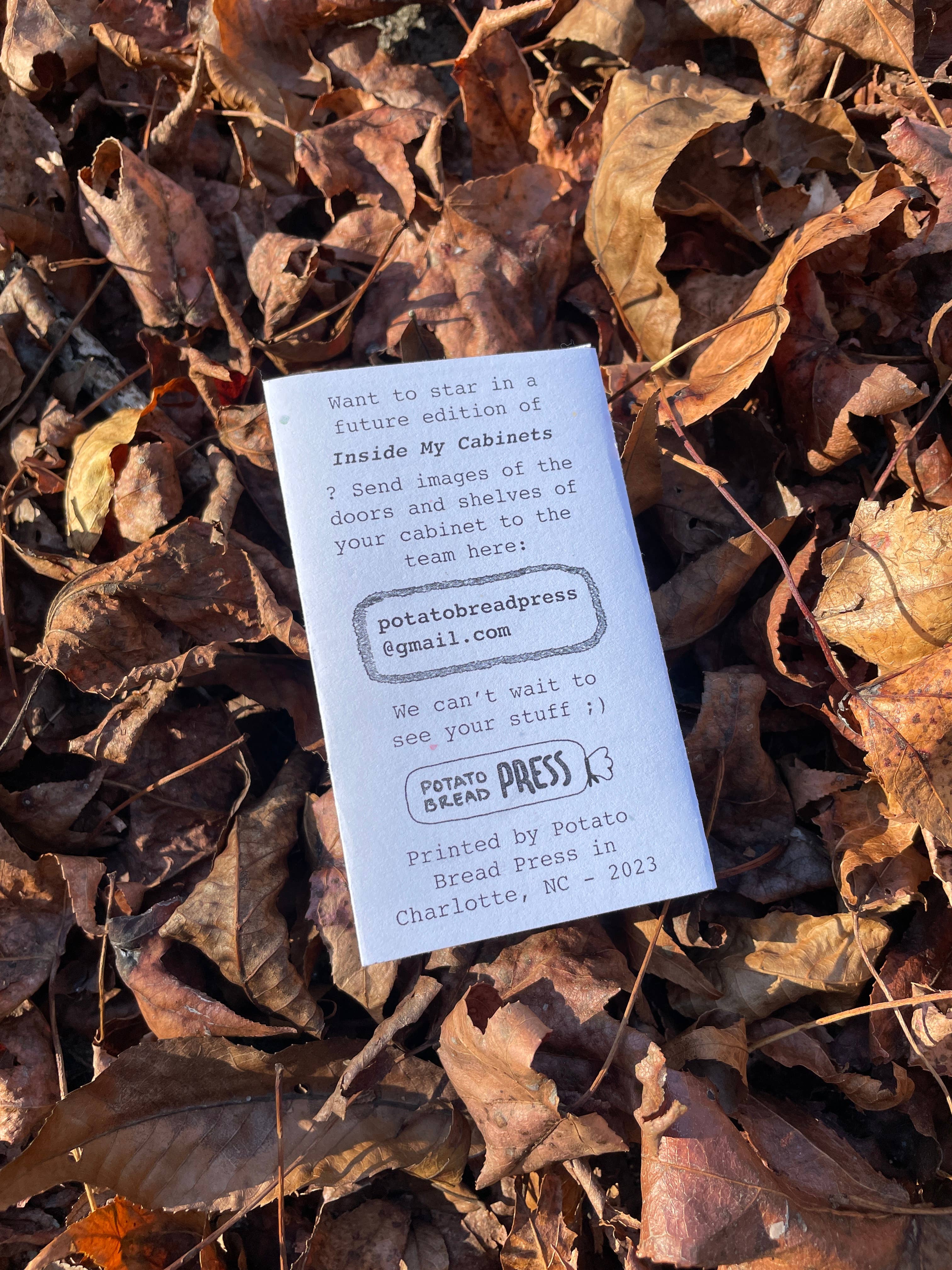 Potato Bread Press - Vendita all'ingrosso Arte e intrattenimento - Dentro i Miei Armadietti Zine, Vol. 23